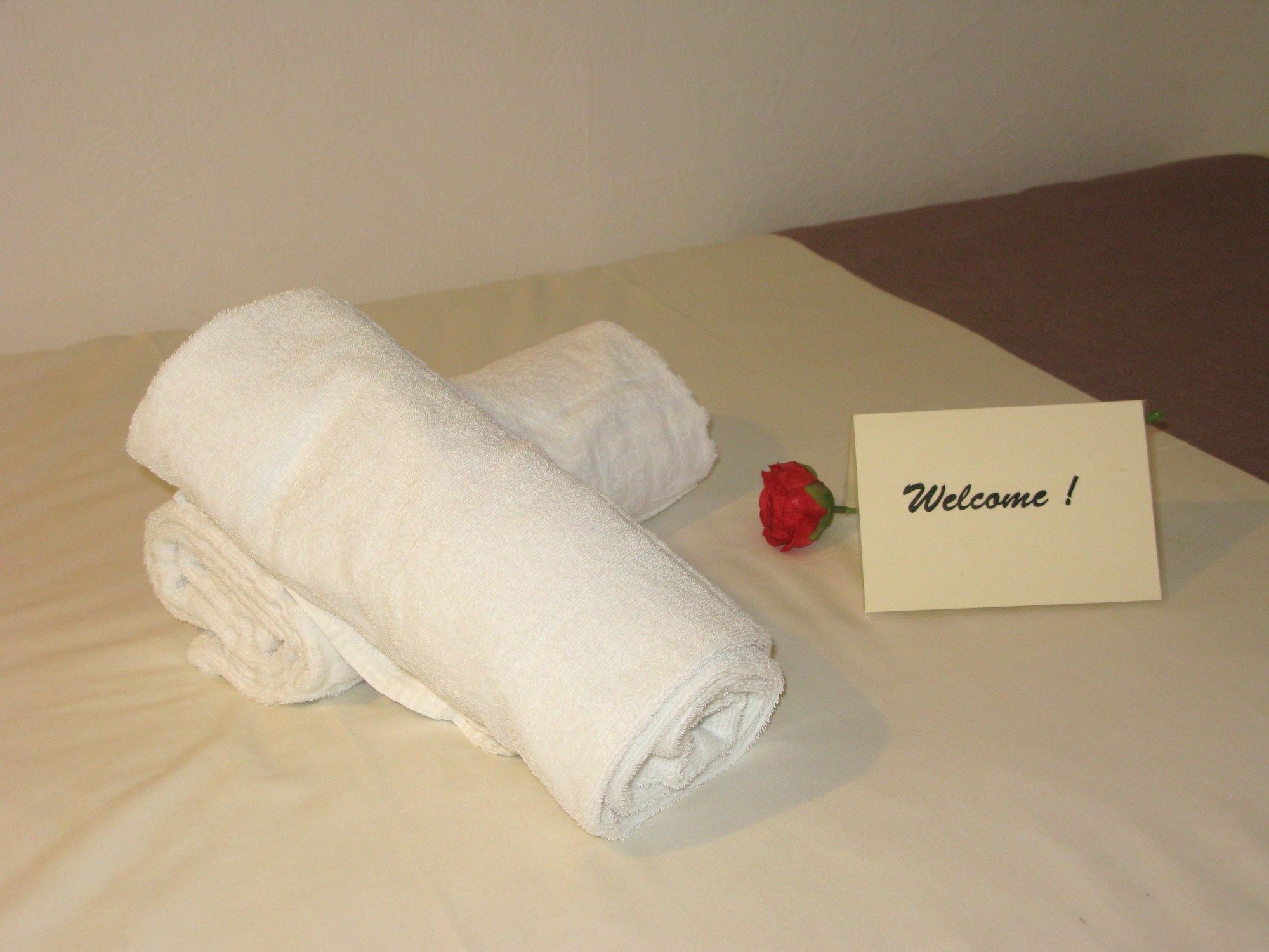 Bed & Breakfast Au Berceau De Bernadette Lourdes
